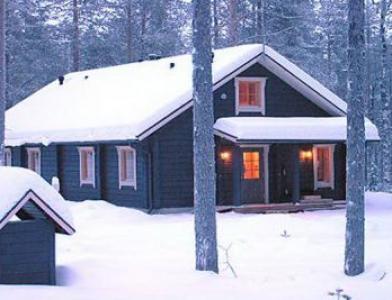 Коттедж Honkahovi