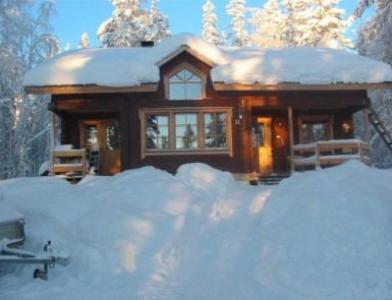 Коттедж Kontionpesä