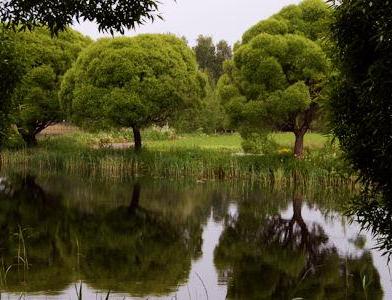 Рыболовный парк Kaihu