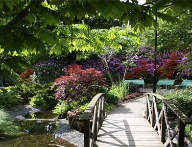 Katrineholm (Катринехольм)