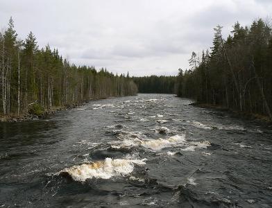 Река Lieksanjoki