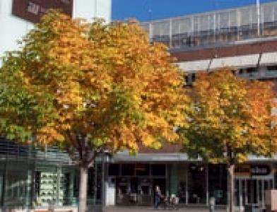 Торговый центр Bergstroms galleria